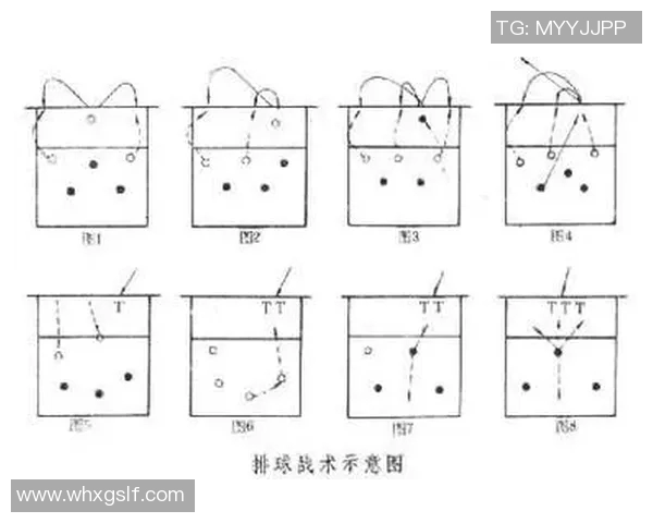 武汉排球队中路突破战术解析与实战应用探讨