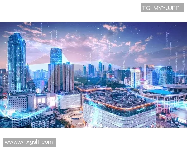 深圳排球队的反击革新之路探索与展望