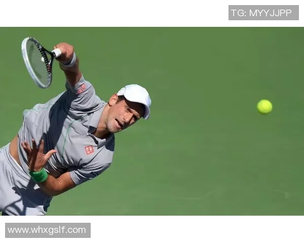 与王丽对话：回顾她的网球生涯与未来展望