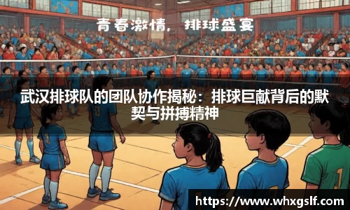 武汉排球队的团队协作揭秘：排球巨献背后的默契与拼搏精神