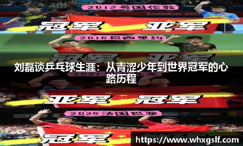 刘磊谈乒乓球生涯：从青涩少年到世界冠军的心路历程