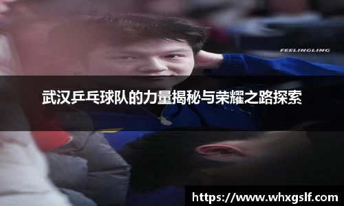 武汉乒乓球队的力量揭秘与荣耀之路探索