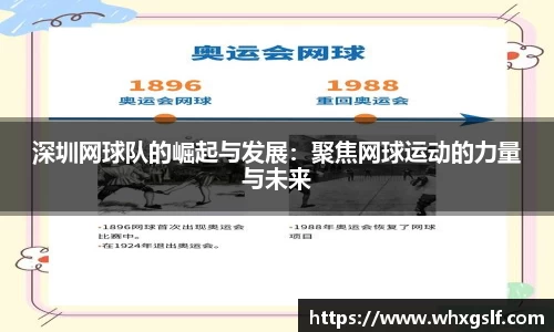 深圳网球队的崛起与发展：聚焦网球运动的力量与未来